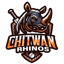 Chitwan Rhinos